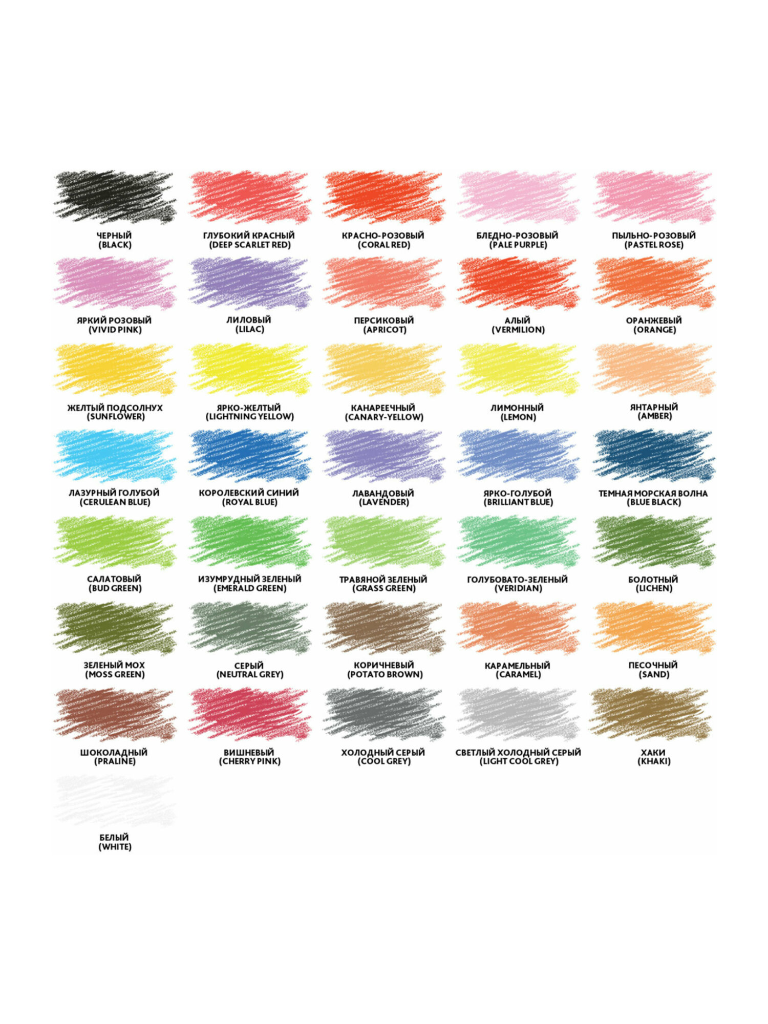 Карандаши цветные Brauberg 36 шт. - фото 13