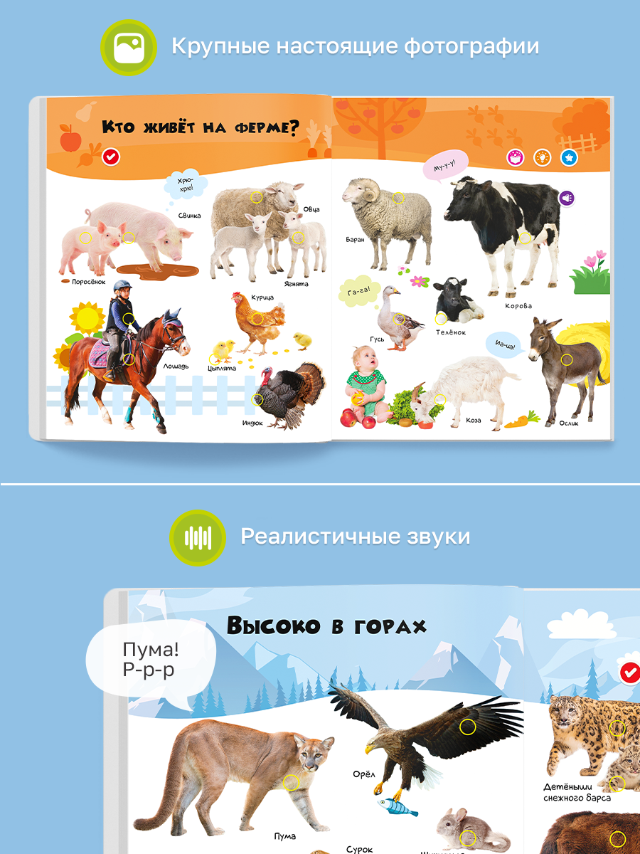 Комплект говорящих книжек BertToys Нажималки: Животные + Я и Мир Вокруг - фото 12