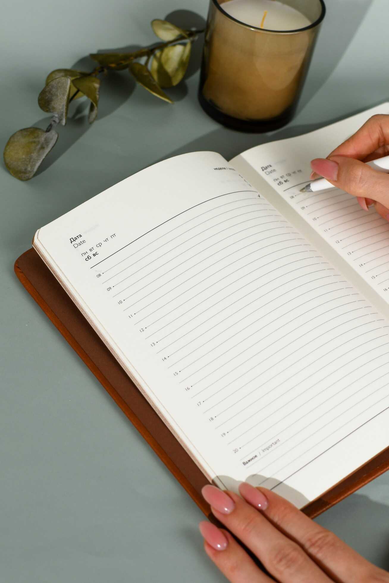 Ежедневник Феникс + ESCALADA 160 лист. - фото 11