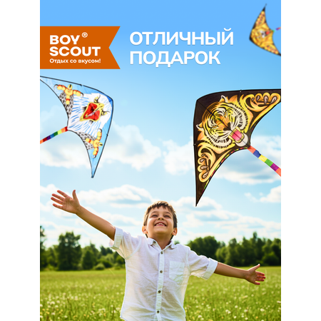 Воздушный змей BoyScout Воздушный змей