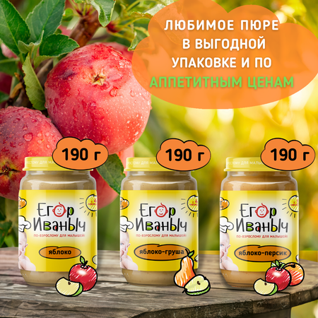 Упаковка пюре Егор Иваныч 6 шт по 190 г Яблоко и персик