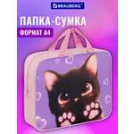 Папка для труда Brauberg кошачьи лапки А4