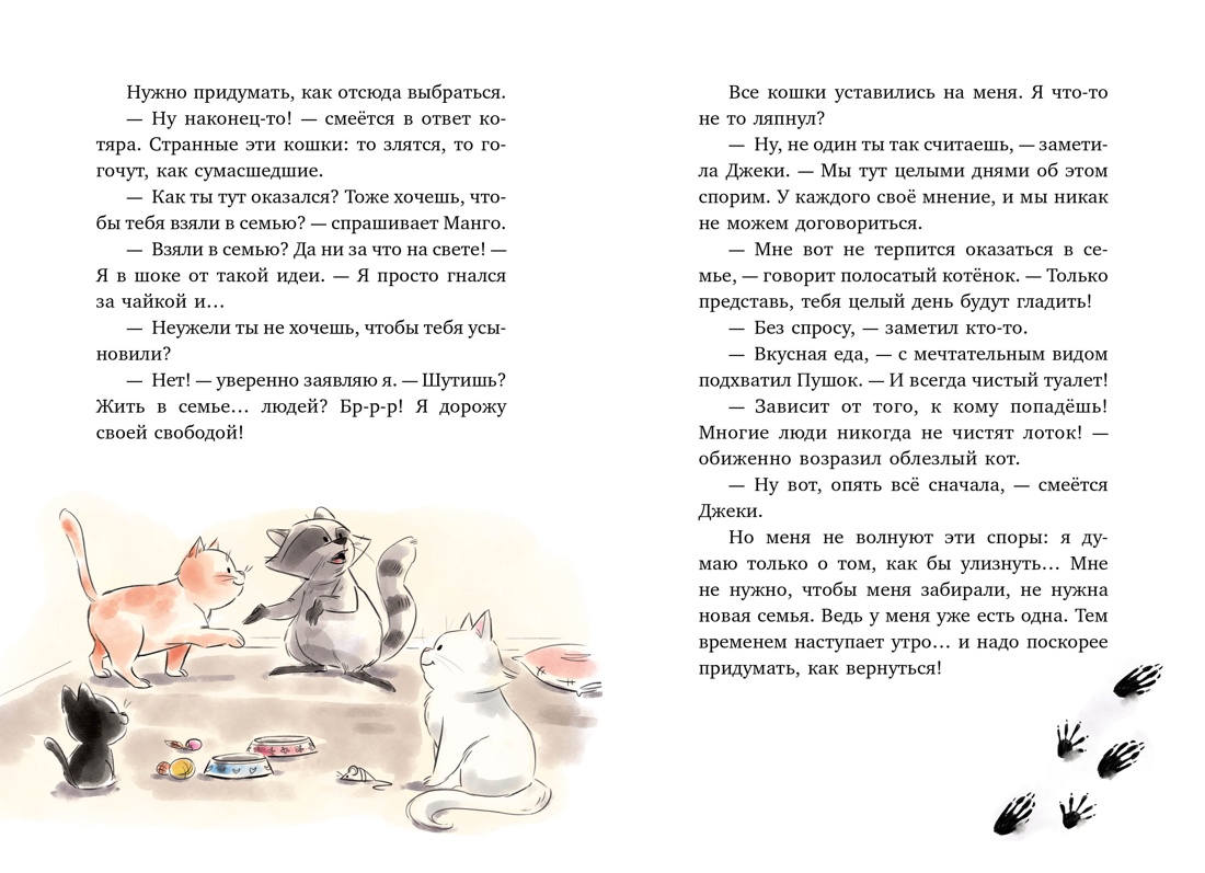 Книга Махаон Друзья и детективы/Галли С./Маффин. Мой друг енот (цв.илл.) - фото 8
