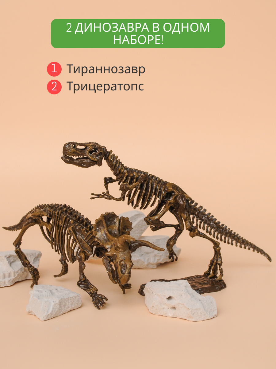 Набор для раскопок KONIK Science - фото 2