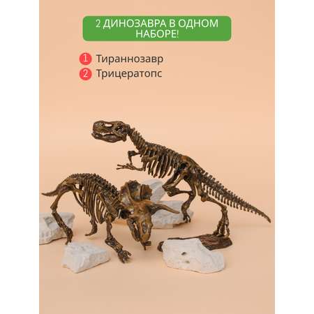 Набор для раскопок KONIK Science