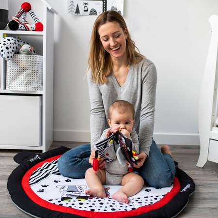 Игрушка Babyono книжка Сенсорная C-More в ассортименте