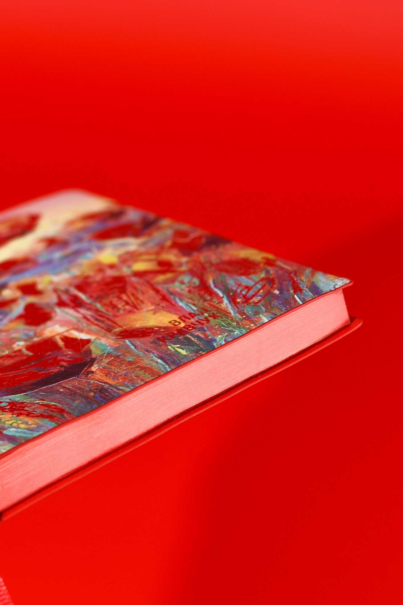 Ежедневник Феникс + ESCALADA 120 лист. - фото 11