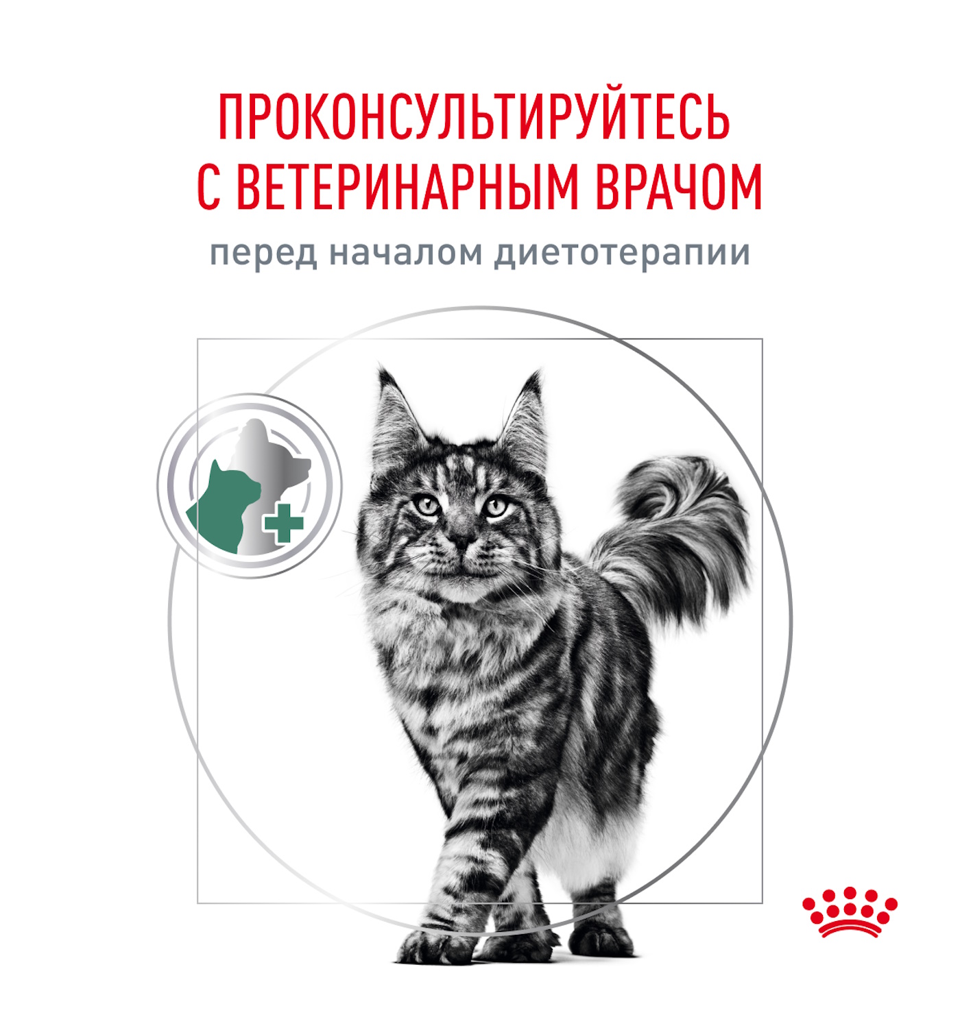 Корм для кошек ROYAL CANIN Diabetic при сахарном диабете 1.5кг - фото 10