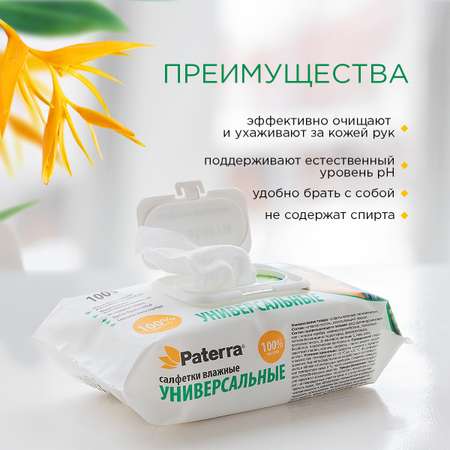 Влажные салфетки Paterra антибактериальные