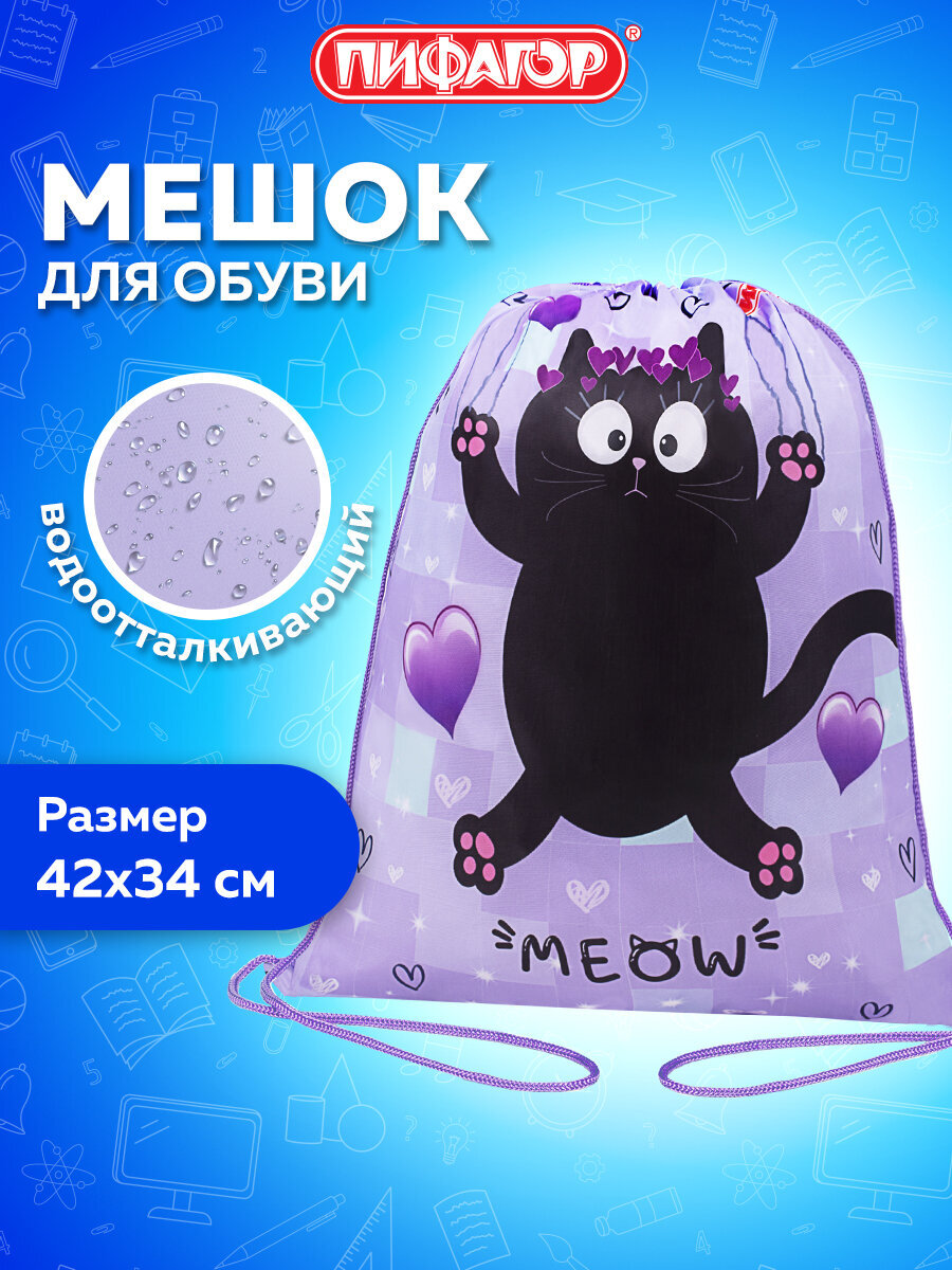 Мешок для обуви Пифагор падающий котик - фото 1