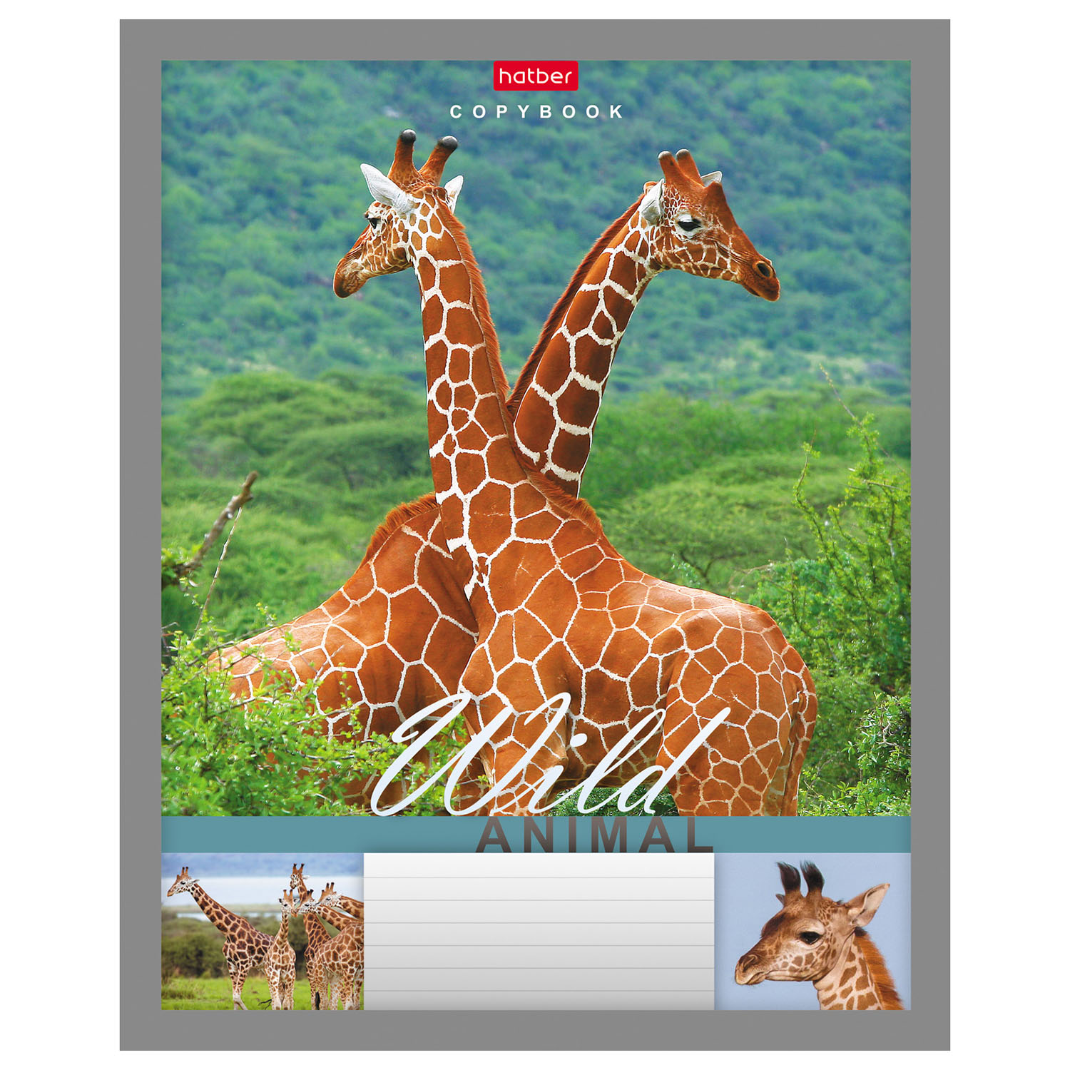 Тетрадь Hatber линейка 24 лист. - фото 2