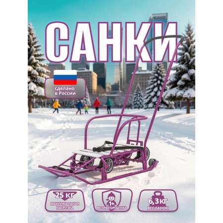 Санки NiKA kids Т5У/СН