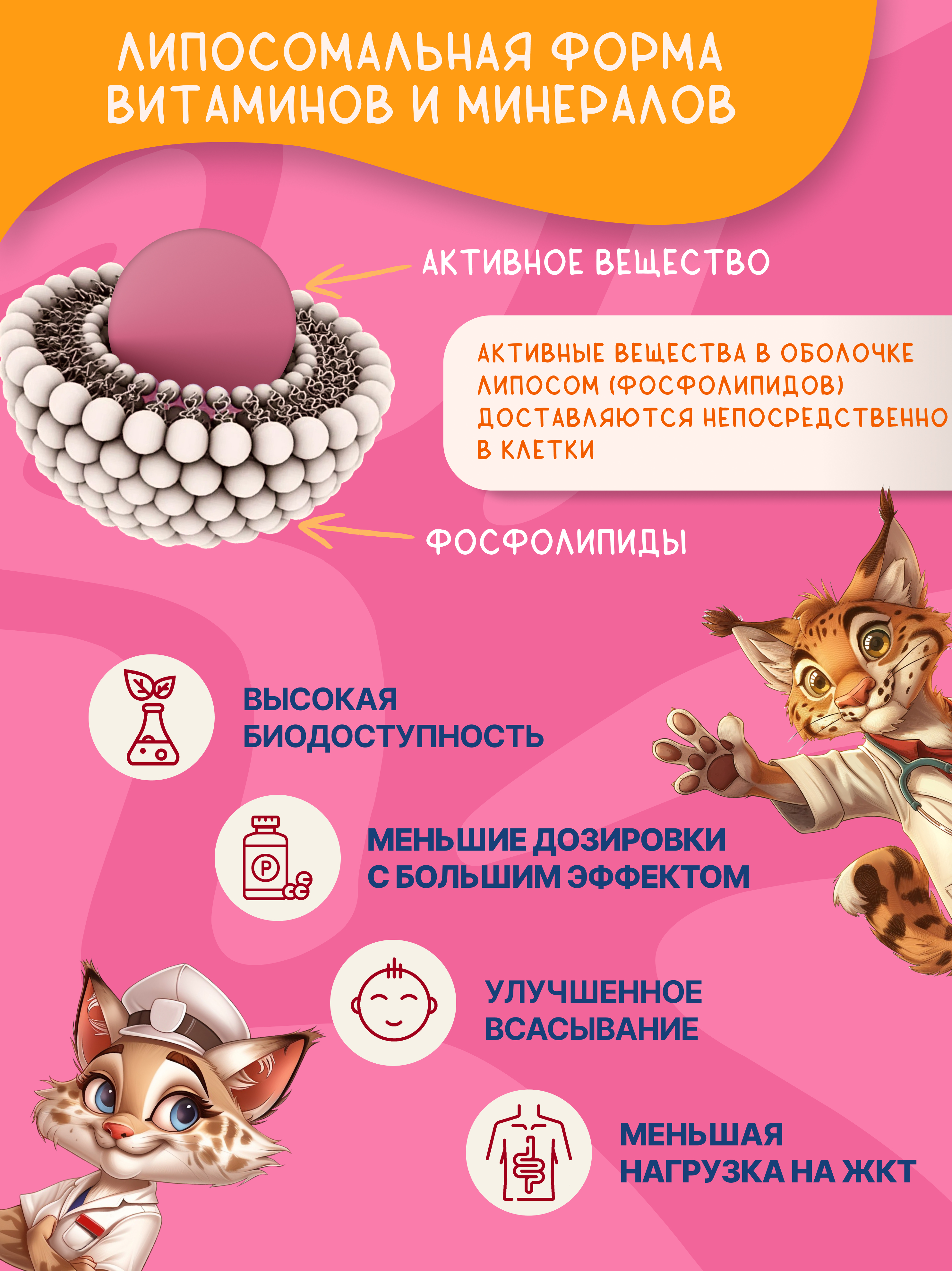 БАД Алтайские традиции Липосомальный комплекс для детей Пробиотик+пребиотик для пищеварения - фото 4