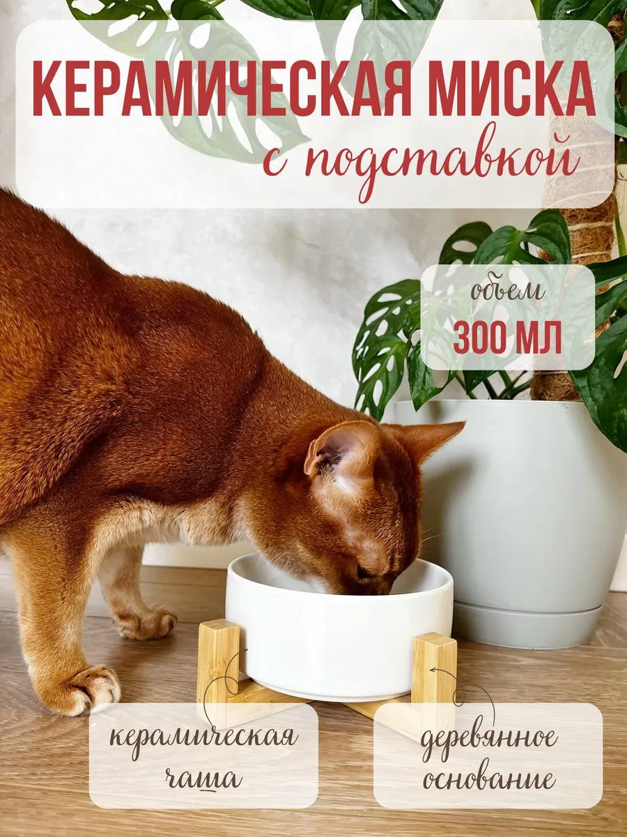 Миска для кошек и собак Qalla на подставке - фото 1