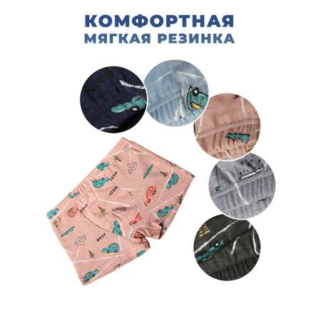 Трусы 5 шт. Little Mania