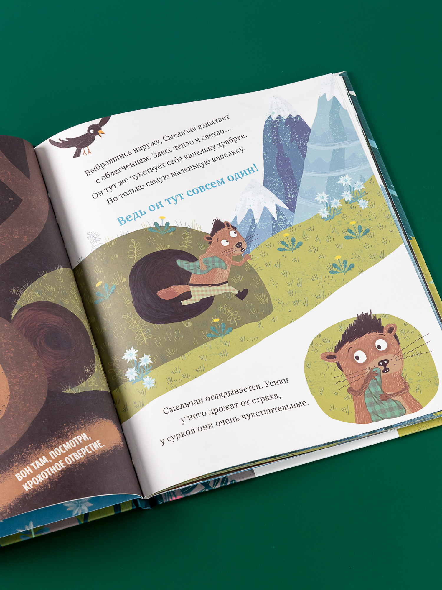 Книга Альпина. Дети Когда я боюсь - фото 4