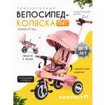 Трехколесный велосипед Babyhit 10 дюймов