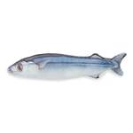 Игрушка для кошек Barbaks Рыба Макрель с кошачьей мятой мягкая 19*4.5см