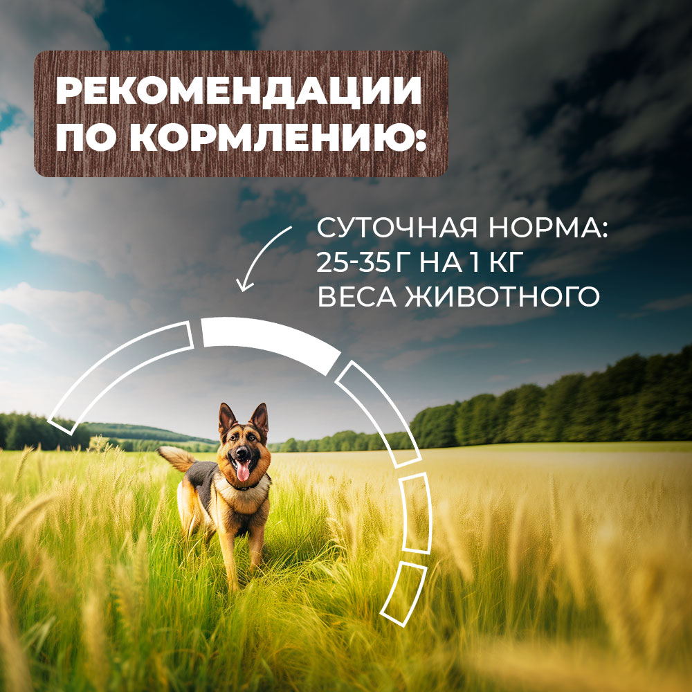 Корм для собак Родные корма говядина с овощами по-казацки 970г - фото 5