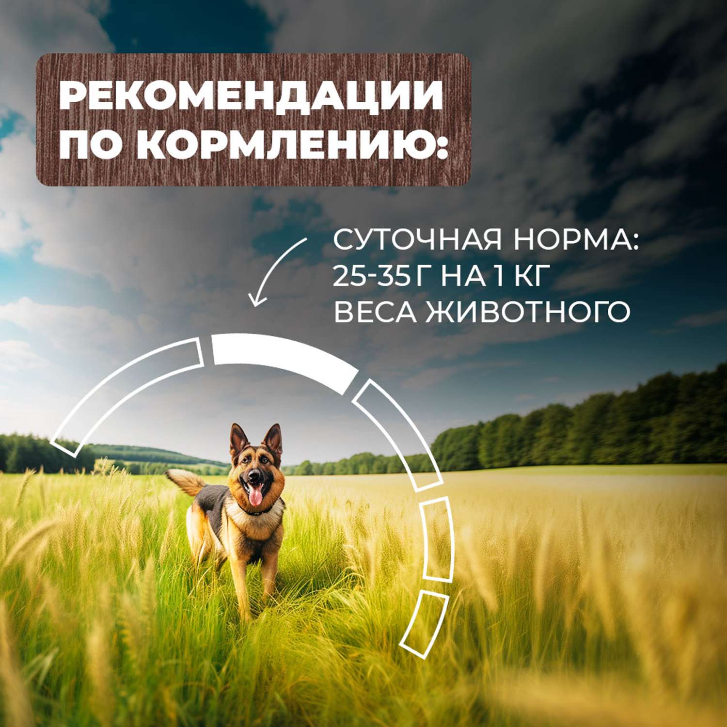 Корм для собак Родные корма говядина с овощами по-казацки 970г - фото 5