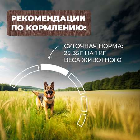 Корм для собак Родные корма говядина с овощами по-казацки 970г