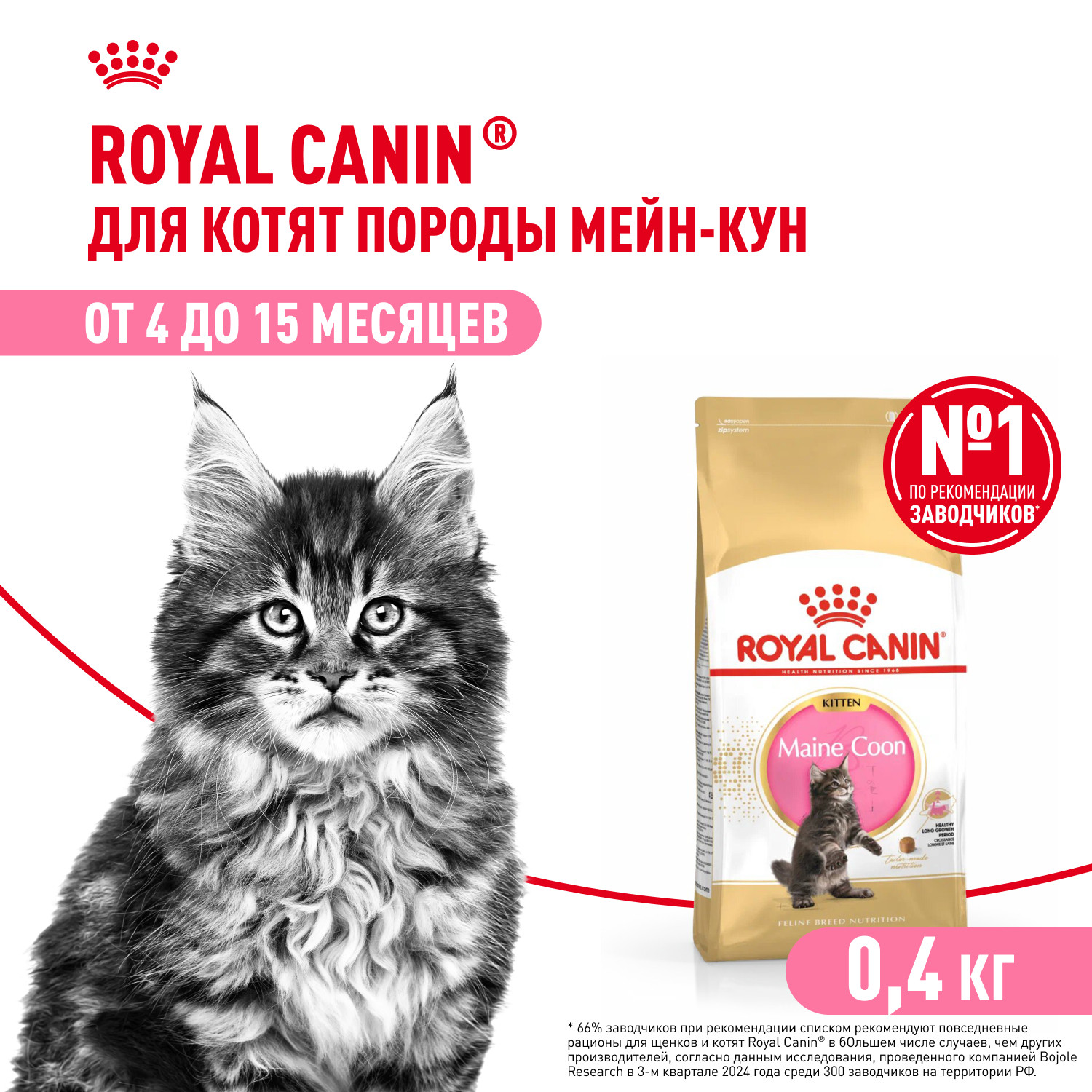 Корм для котят Royal Canin 400г Maine Coon породы мейн-кун - фото 1
