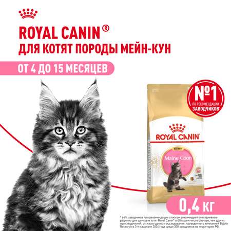 Корм для котят Royal Canin 400г Maine Coon породы мейн-кун
