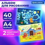 Альбом Brauberg А4 40 лист. 2 шт.