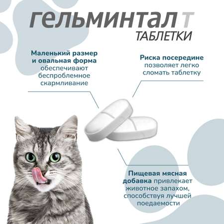 Антигельминтик для кошек Гельминтал более 4кг 2шт