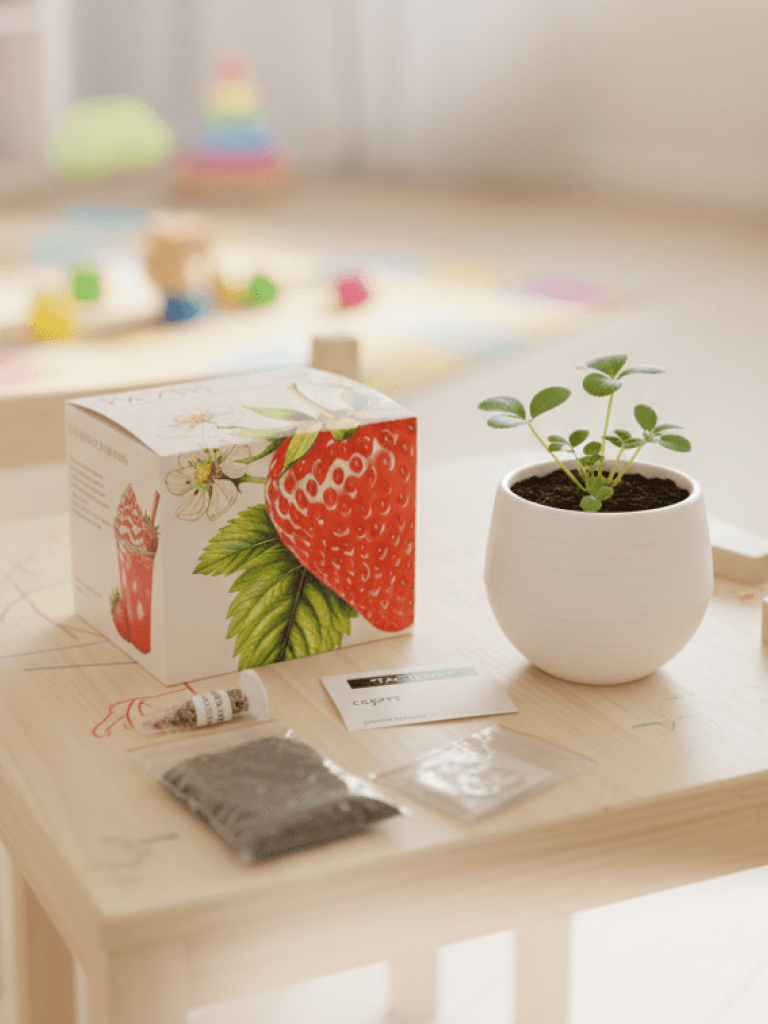 Набор ECOSEEDS клубника - фото 4