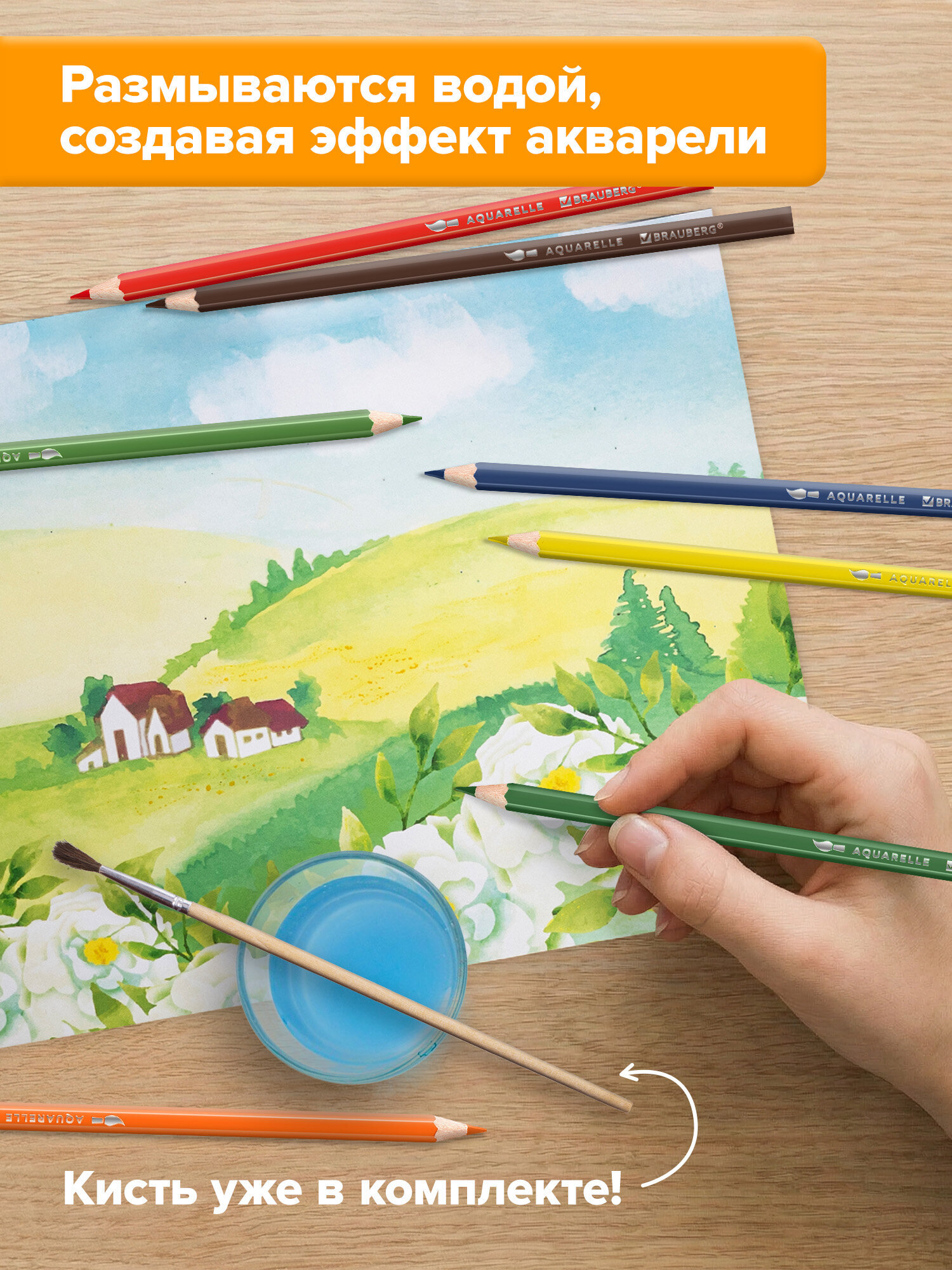 Карандаши акварельные Brauberg 24 шт. - фото 5