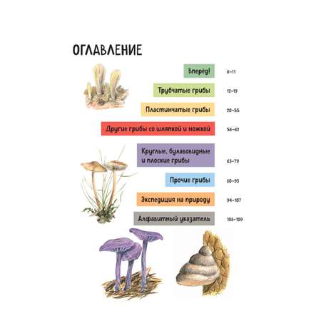 Книга Эксмо Грибы. Краткий иллюстрированный справочник