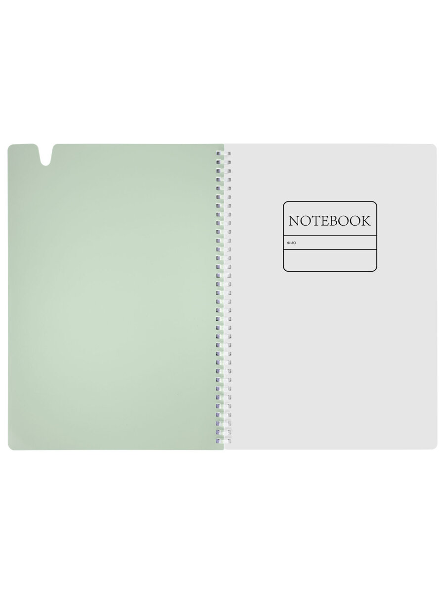 Общая тетрадь Brauberg клетка 80 лист. - фото 5