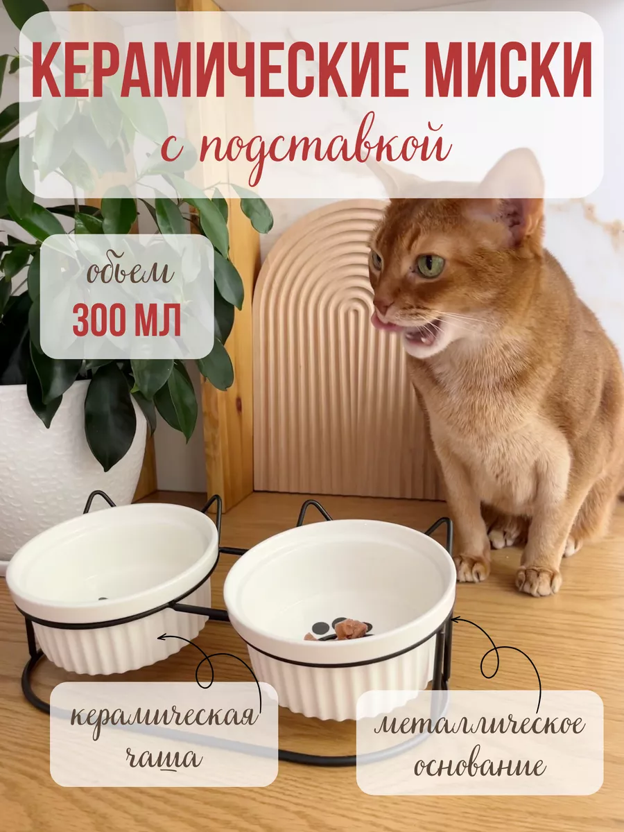 Миска керамическая Qalla двойная на подставке - фото 1
