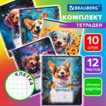 Тетрадь Brauberg клетка 12 лист. 10 шт.