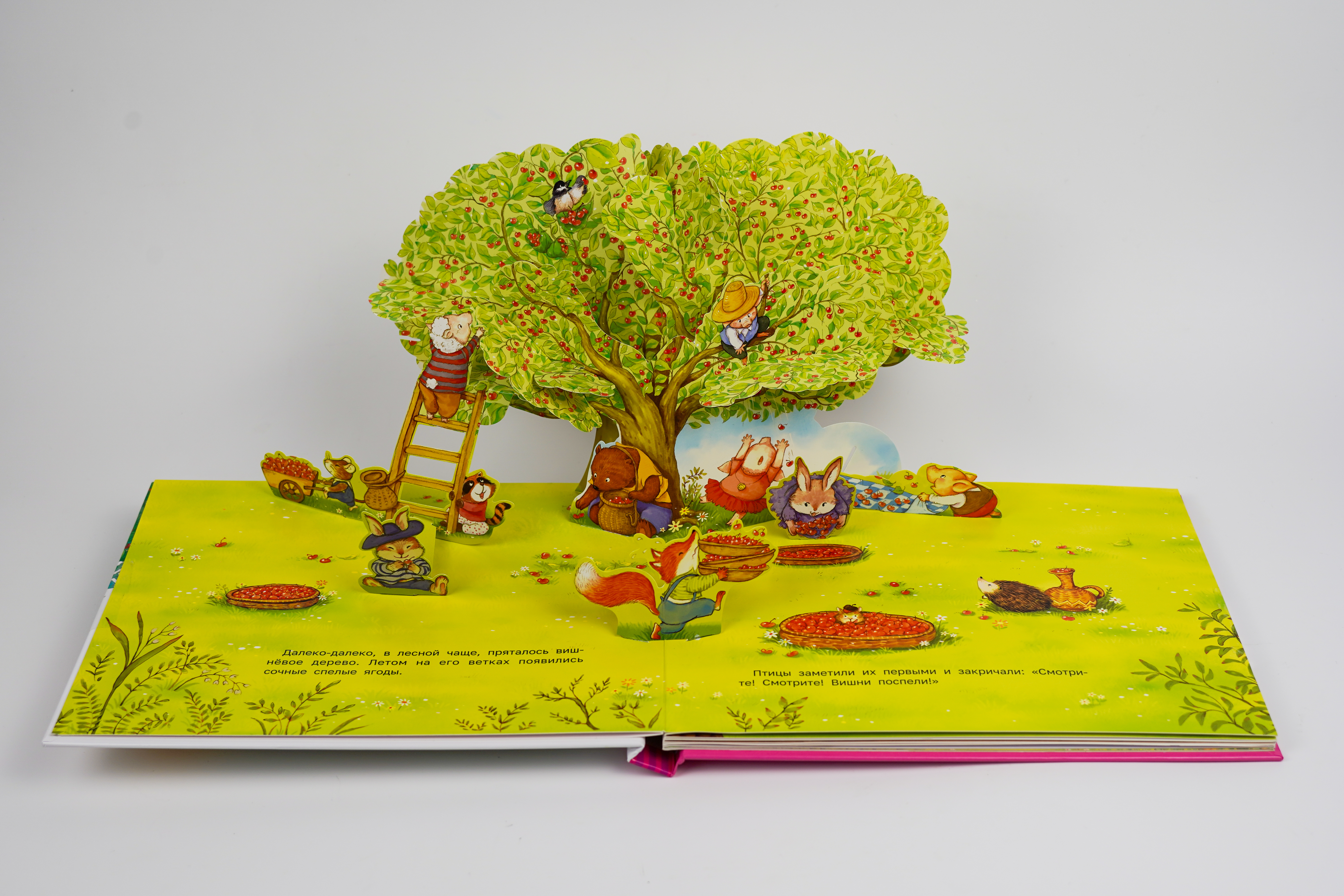 Книга АСТ Как зверята собирали урожай - фото 2