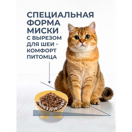 Миска для кошек и собак ROXY PETS 300мл