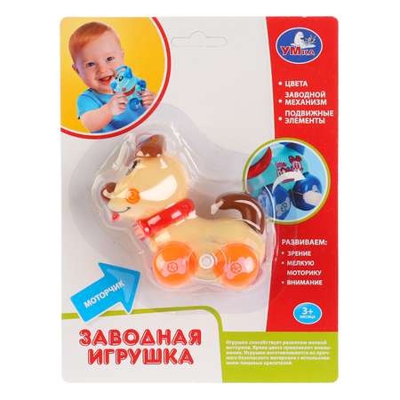 Собака УМка