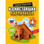 Конструктор ВИСМА Летний домик из мини-блоков 243 дет.