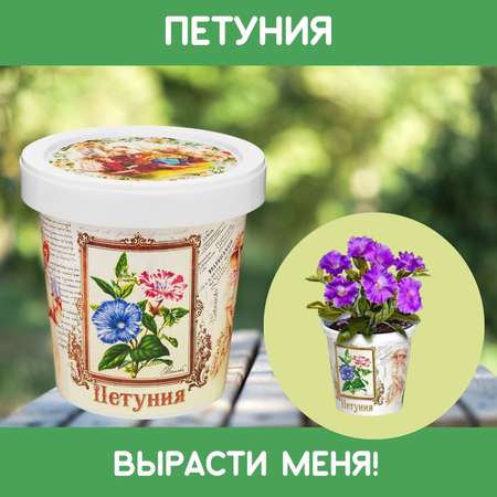 Набор для выращивания Rostok Visa