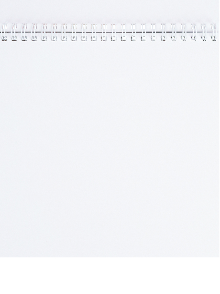 Скетчбук Prof-Press Девушка с зонтиком 40 листов на гребне плотность 150г/м2 жесткая подложка 190х190 мм - фото 2