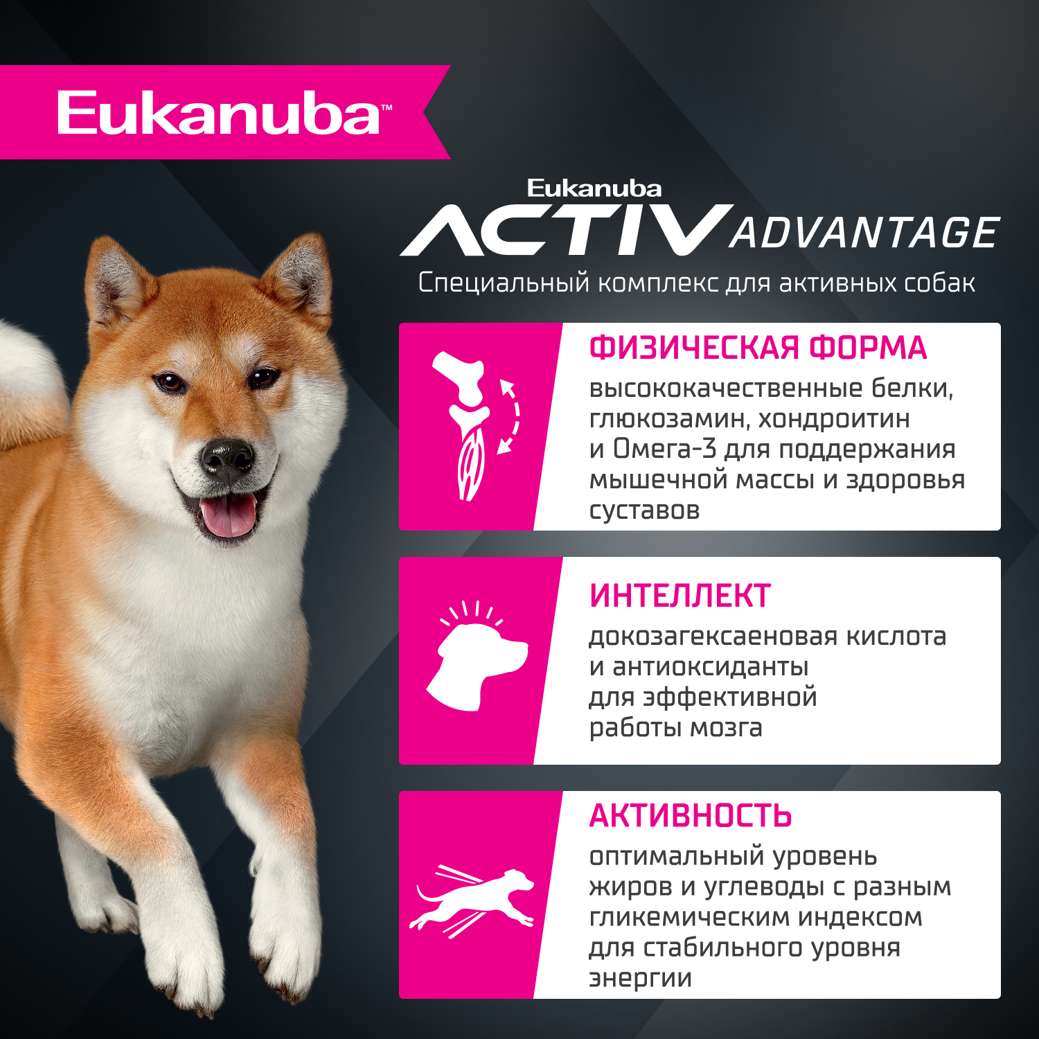Корм для собак сухой для взрослых собак Eukanuba мелких и средних пород старше 1 года с ягненком 7кг - фото 2