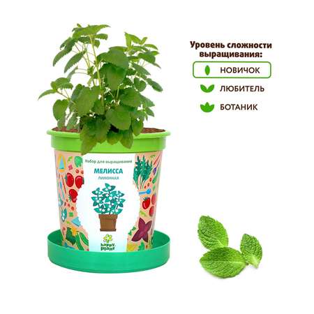 Набор для выращивания Happy Plant