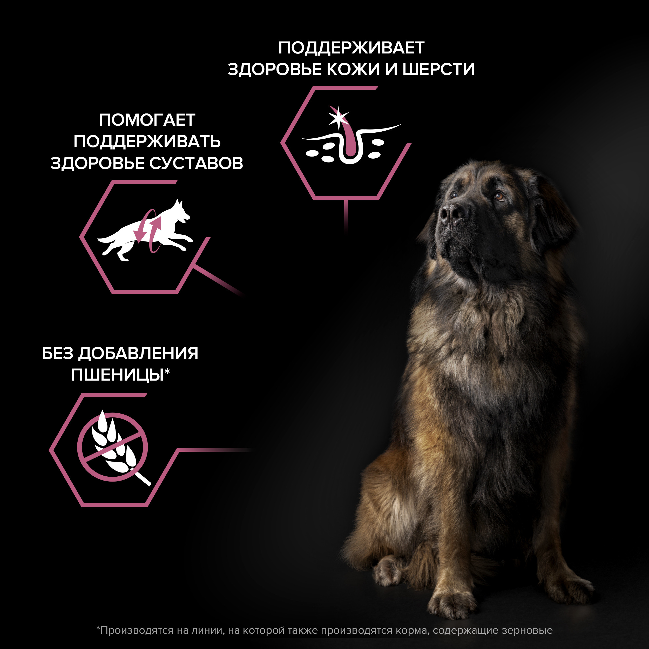 Корм для собак PRO PLAN крупных пород с мощным телосложением с чувствительной кожей с комплексом Optiderma лосось с рисом 14кг - фото 3