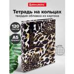 Тетрадь со сменным блоком Brauberg клетка 120 лист.