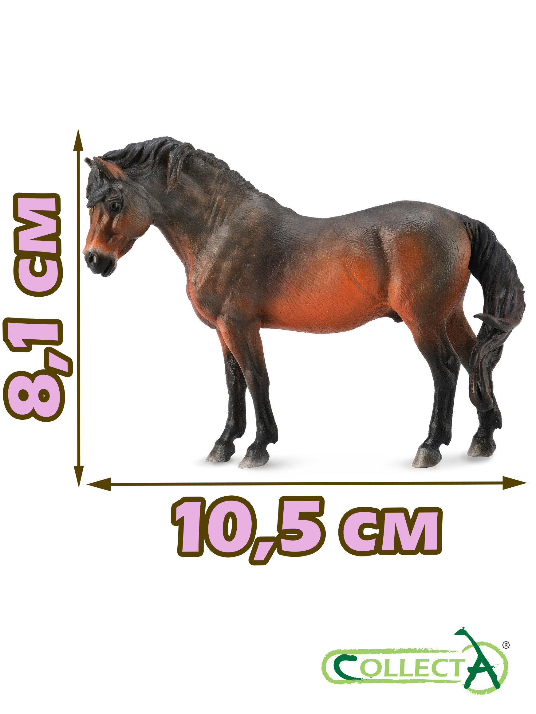 Фигурка Collecta Дартмурский Пони - фото 2
