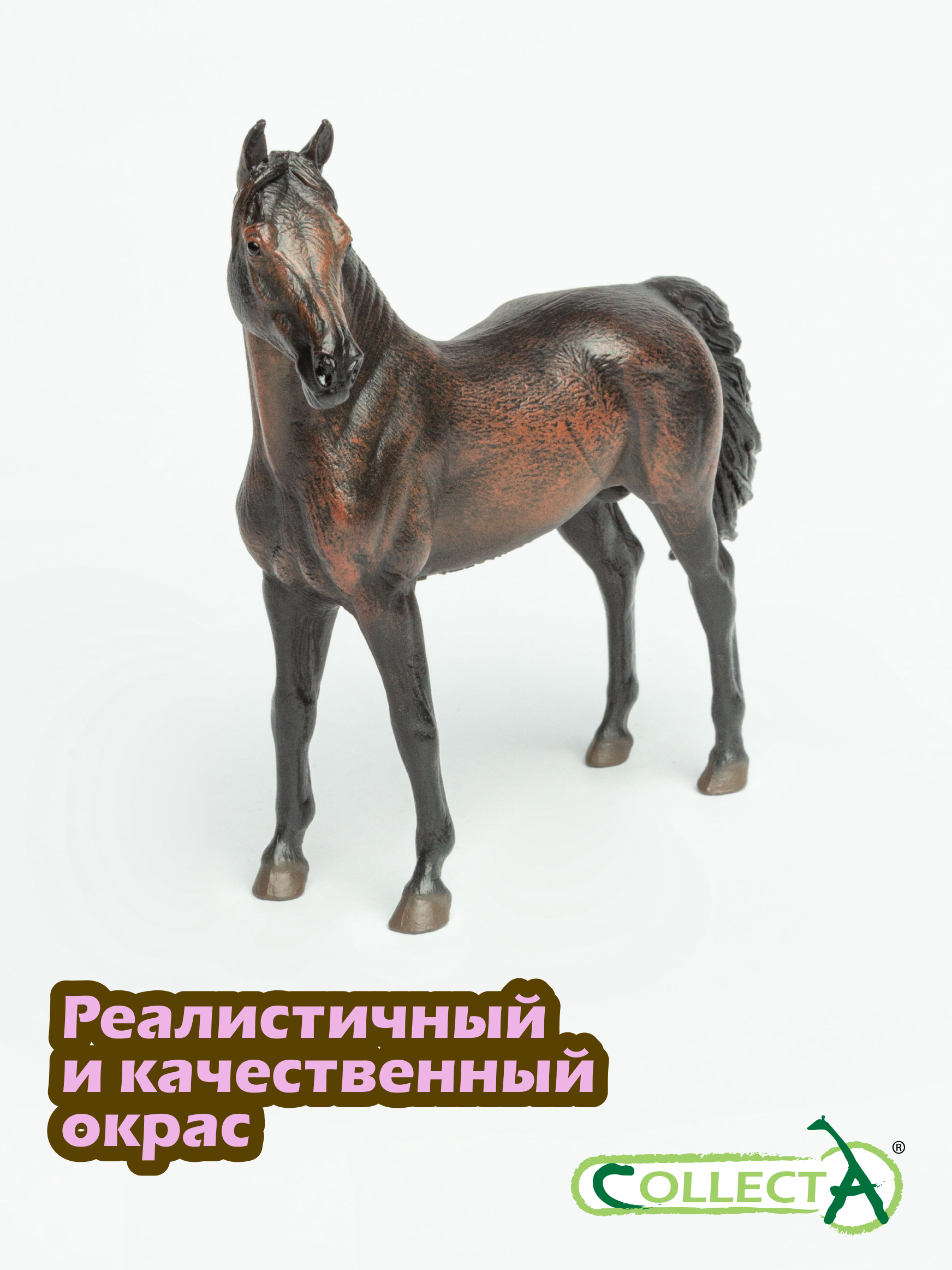 Фигурка Collecta Жеребец Морган - фото 4
