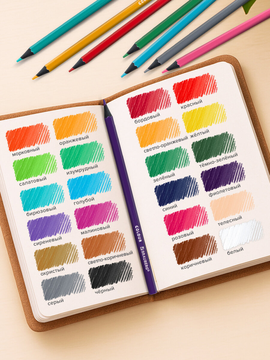 Карандаши цветные Brauberg 24 шт. - фото 2