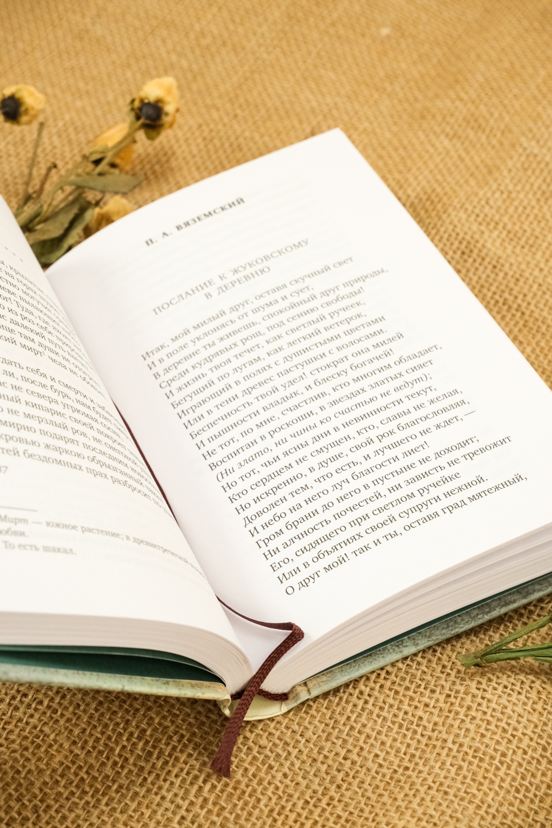 Книга АЗБУКА Азбука-поэзия/Пушкин А., Лермонтов М., Тютчев Ф./Золотой век русской поэзии - фото 8