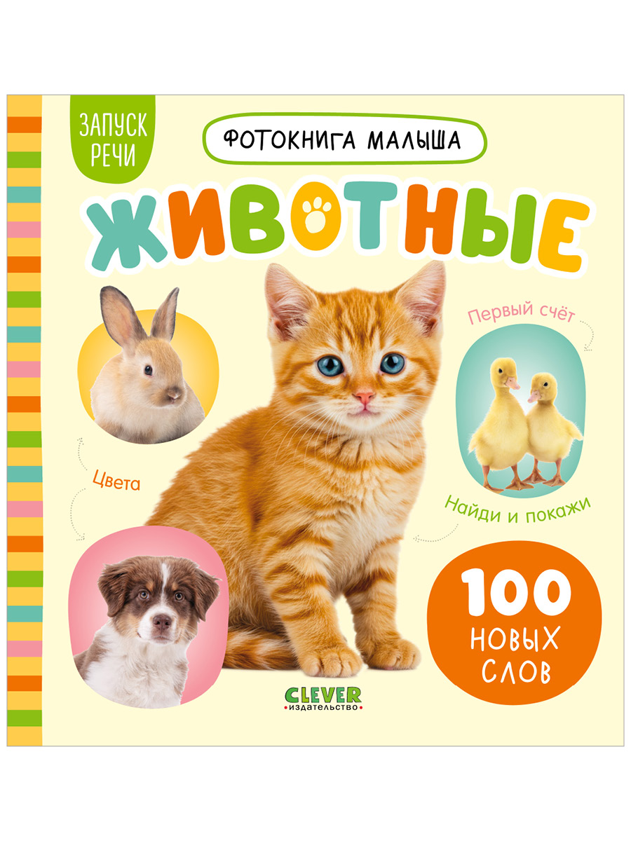 Книга Clever Фотокнига малыша - фото 1